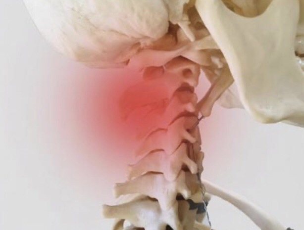 11月13日　【かなた整骨院が解説】たった1日の衣替えで ぎっくり首 に？予防と正しい動作ガイド